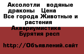 Аксолотли / водяные драконы › Цена ­ 500 - Все города Животные и растения » Аквариумистика   . Бурятия респ.